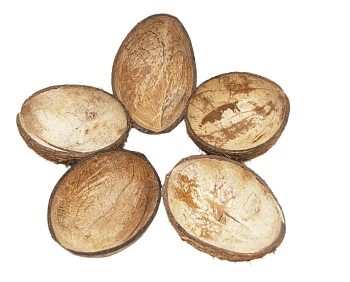 FM Скорлупа кокосового ореха с отверстием (половинка) домик для грызунов, шт