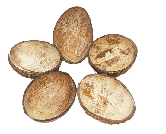 FM Скорлупа кокосового ореха с отверстием (половинка) домик для грызунов, шт