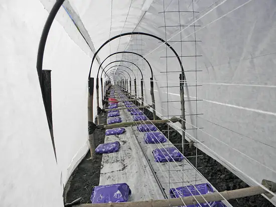 Агротекс двойная защита арм. Белый 60, 3,0*10 м, уп