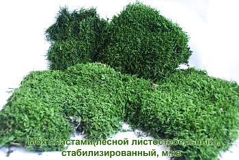Мох пластами(лесной листостебельный), стабилизированный, м.кв 