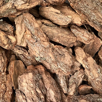 Кора сосны Люкс, фракция 9-20 см, 60 л