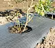 Агротекс Геоткань 100, Черный, 4,2*100 м, рул