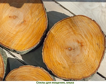 Спилы поквадратно дуб для мощения, (Ø 10-35см, h 8см), м.кв.