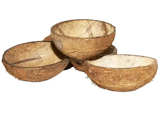 FM Скорлупа кокосового ореха с отверстием (половинка) домик для грызунов, шт