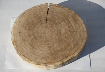 Спил дуб шлифовка СДШ2, (Ø 50-60см, h 8-10см), шт