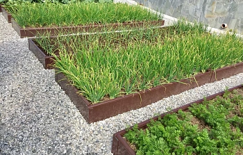 Усилитель универсальный для грядки из ПВХ (h 0,22 м, 0,9-1,0 м), коричневый, шт