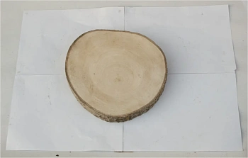 Спил осина шлифовка СОсШ1, (Ø 30-35 см, h 3см), шт