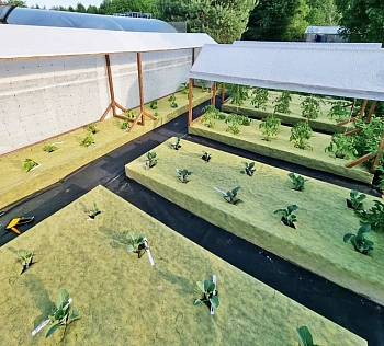 Агротекс двойная защита Желто-чёрный 80, 3,0*100 м, рул