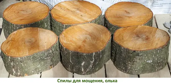 Спилы поквадратно дуб для мощения, (Ø 10-35см, h 8см), м.кв.