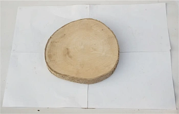 Спил осина шлифовка СОсШ1, (Ø 30-35 см, h 3см), шт