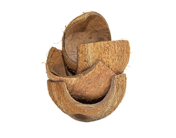 FM Скорлупа кокосового ореха с отверстием (половинка) домик для грызунов, шт