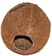 Кокос целый большой с отверстием, шт