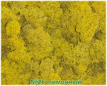 Мох стабилизированный №26 лимонный, 30*40 см, пак
