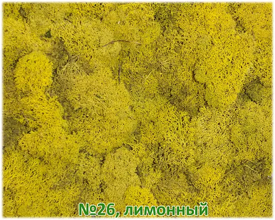 Мох стабилизированный №26 лимонный, 30*40 см, пак
