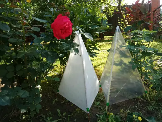 Укрытие для растений "Пирамида" (2 чехла + композитный каркас), h 1,0 * 0,75 м, уп