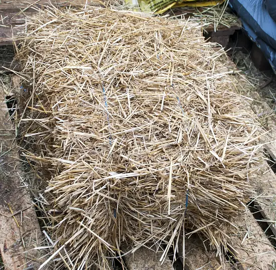 Солома золотистая, тюк
