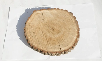 Спил дуб шлифовка СДШ1, (Ø 30-35см, h 3см), шт