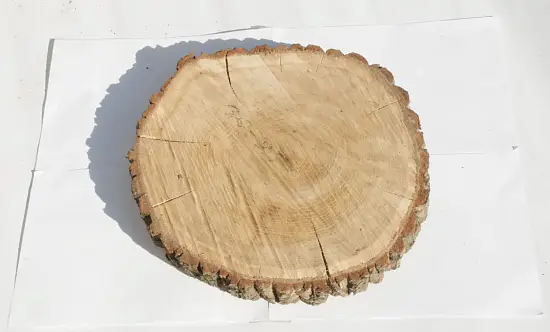Спил дуб шлифовка СДШ1, (Ø 30-35см, h 3см), шт