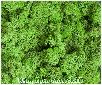 Мох стабилизированный №10 ярко-салатовый, 30*40 см, пак