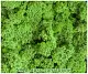 Мох стабилизированный №10 ярко-салатовый, 30*40 см, пак
