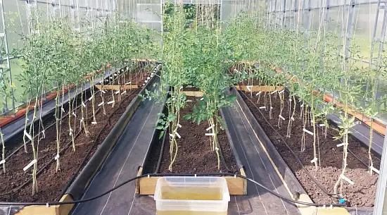 Агротекс Геоткань 150, Черный, 4,2*100 м, рул.