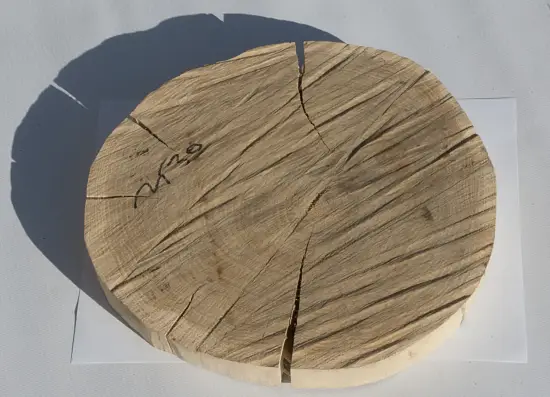 Спил дуб шлифовка СДШ2, (Ø 25-30см, h 3см), шт