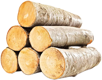 Полено березовое, Ø 5-10, h 50 см, шт.