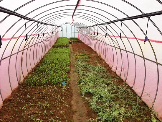 Агротекс двойная защита Бело-красный 60, 3,0*100 м, рул