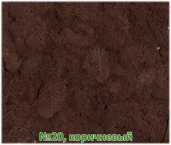 Мох стабилизированный №20 коричневый, 30*40 см, пак