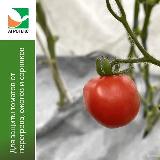 Агротекс Комплект для томатов, уп