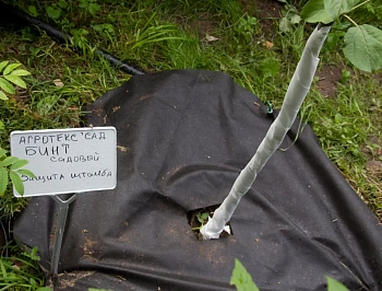 Бинт садовый отрывной УФ, 0,16*50 м