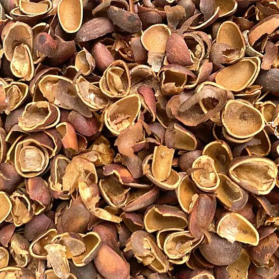 Скорлупа кедрового ореха, 90 л