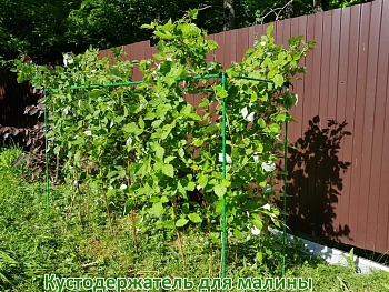 Кустодержатель для малины, композитный,  h 125 * 150 * 55 см, шт