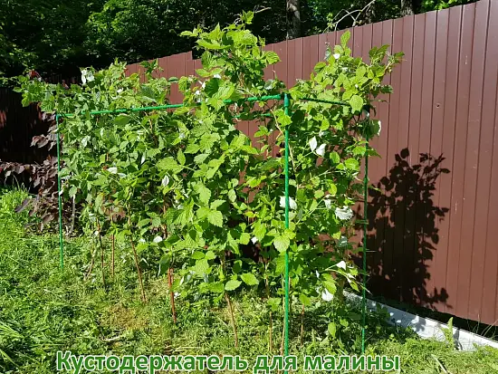 Кустодержатель для малины, композитный,  h 125 * 150 * 55 см, шт