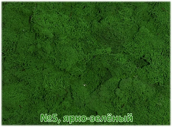 Мох стабилизированный №5 ярко-зеленый, 30*40 см, пак