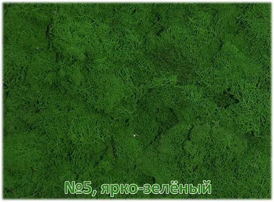 Мох стабилизированный №5 ярко-зеленый, 30*40 см, пак