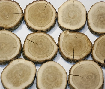 Спилы поквадратно дуб шлифовка БЕЗ коры, (Ø 2-15см, h 1,5-2см), м.кв.