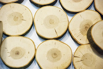 Спилы поквадратно черемуха шлифовка С корой, (Ø 2-15см, h 1,5-2см), м.кв.