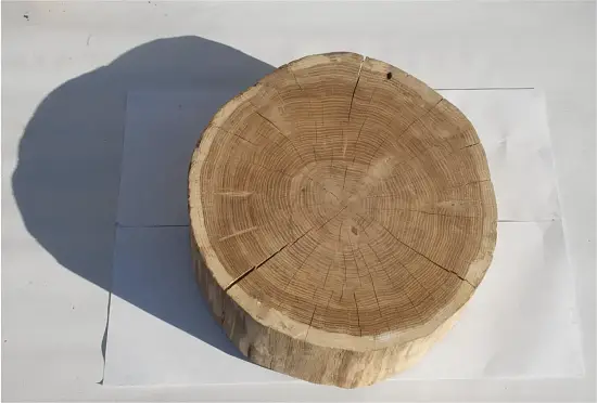 Спил дуб шлифовка СДШ2, (Ø 40-50см, h 8-10см), шт