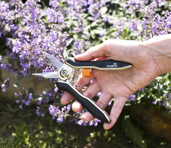Plantic Ножницы для маленьких растений прямые, арт 35306-01, шт
