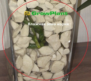 Пеностекло Субстрат Growplant, фр.  0,8-5 мм, зеленый, 50 л 