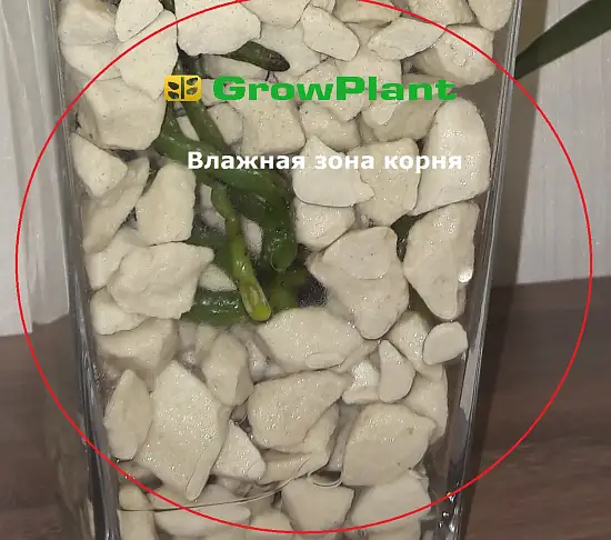 Пеностекло Субстрат Growplant, фр.  0,8-5 мм, зеленый, 50 л 