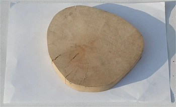 Спил ольха шлифовка СОлШ2 (Ø 15-20см, h 2см), шт