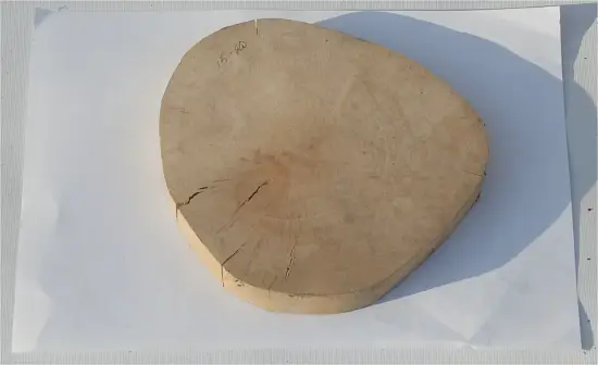 Спил ольха шлифовка СОлШ2 (Ø 15-20см, h 2см), шт