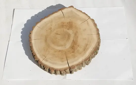 Спил дуб шлифовка СДШ1, (Ø 35-40см, h 3см), шт