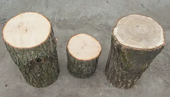 Чурбак дубовый, Ø 20-25, h 30 см