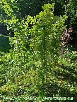 Кустодержатель для малины, композитный,  h 125 * 150 * 55 см, шт