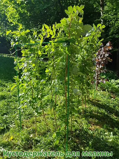 Кустодержатель для малины, композитный,  h 125 * 150 * 55 см, шт