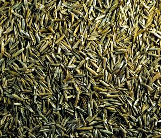 Трава Мятлик луговой, 1,0 кг