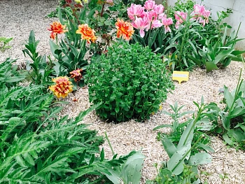 Костра конопляная, мелкая 0-3 см, большой брикет 180 л